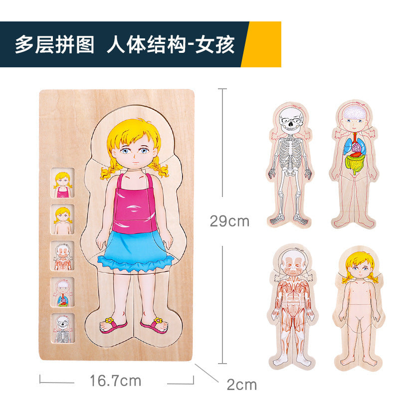 onshine multi-layer puzzle boy and girl human body structure children's intelligence wooden play early education educational toys 2-3-4