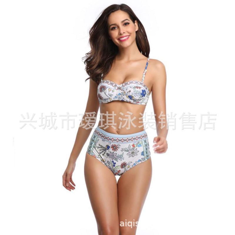 European and American steel ring print gathered bikini swimsuit