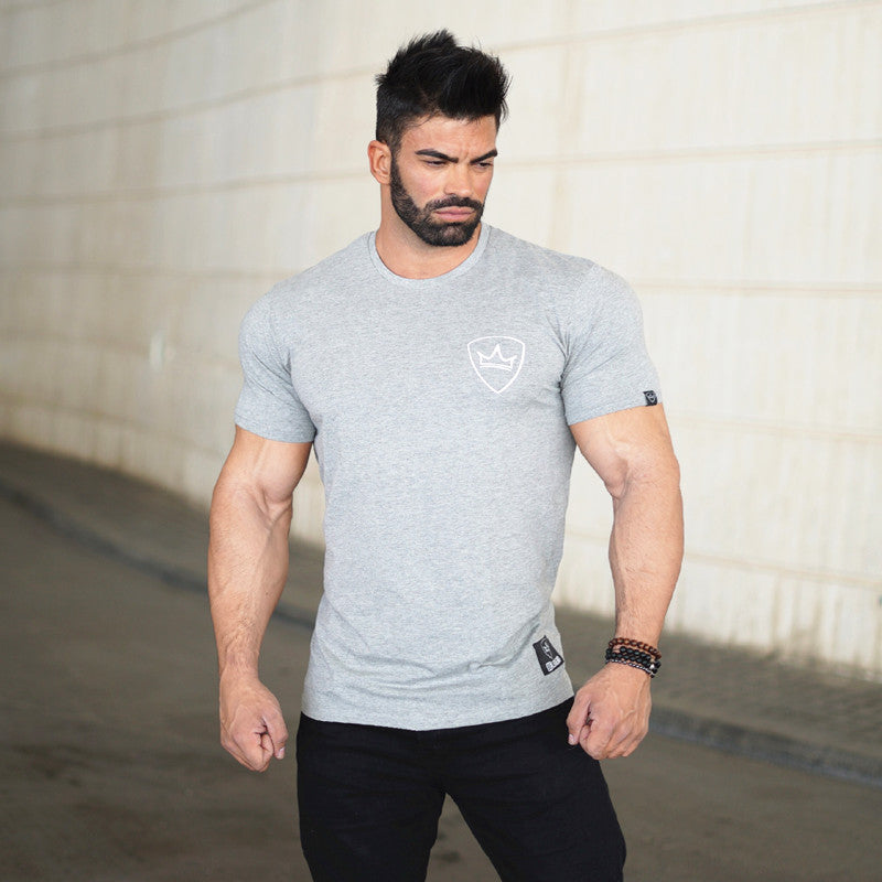 Muscle Aesthetics Summer Fitness Top Stretch Slim Sports Leisure Short Sleeve Breathable Running Training Men T-shirt