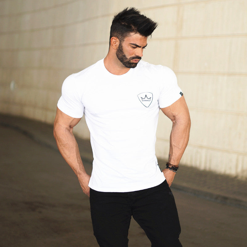 Muscle Aesthetics Summer Fitness Top Stretch Slim Sports Leisure Short Sleeve Breathable Running Training Men T-shirt