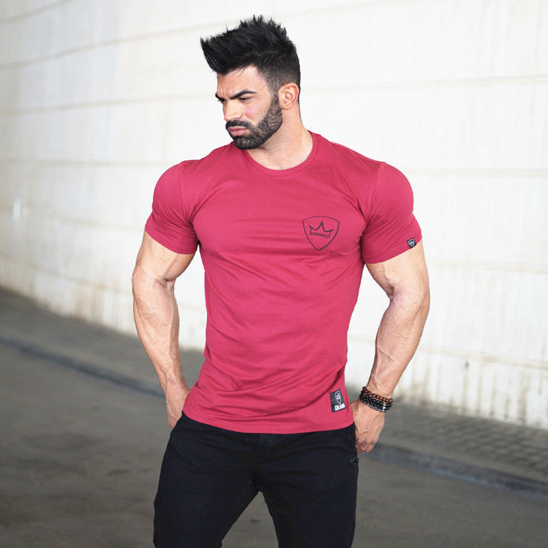 Muscle Aesthetics Summer Fitness Top Stretch Slim Sports Leisure Short Sleeve Breathable Running Training Men T-shirt