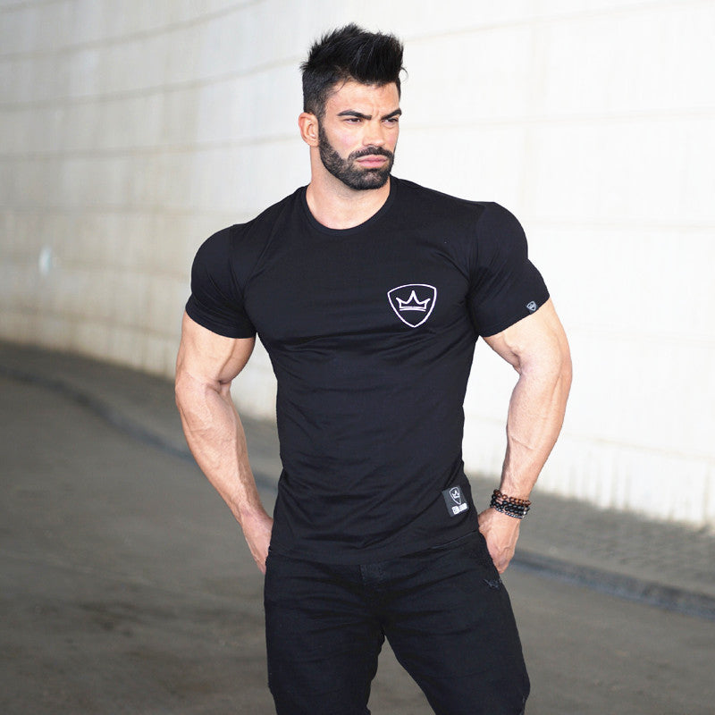 Muscle Aesthetics Summer Fitness Top Stretch Slim Sports Leisure Short Sleeve Breathable Running Training Men T-shirt