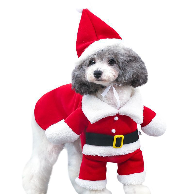 Pet transformation outfit funny three-dimensional dog Christmas clothes Santa Claus dog standing outfit